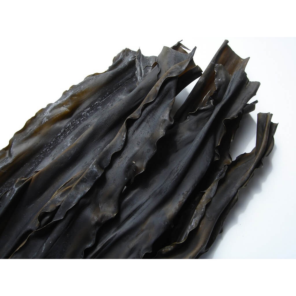 9e683a92663e15969e686c91d4eb2c88