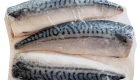 Saba Mackerel