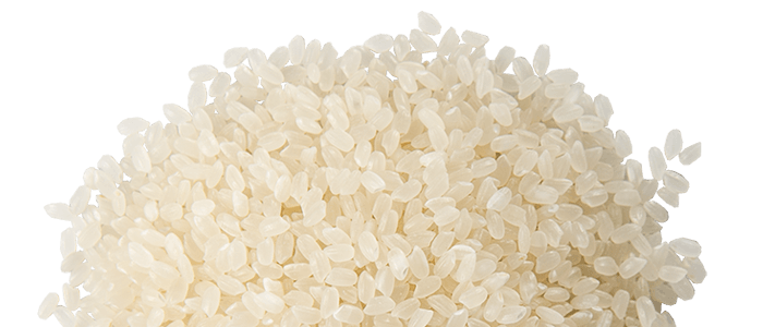 calrose-rice