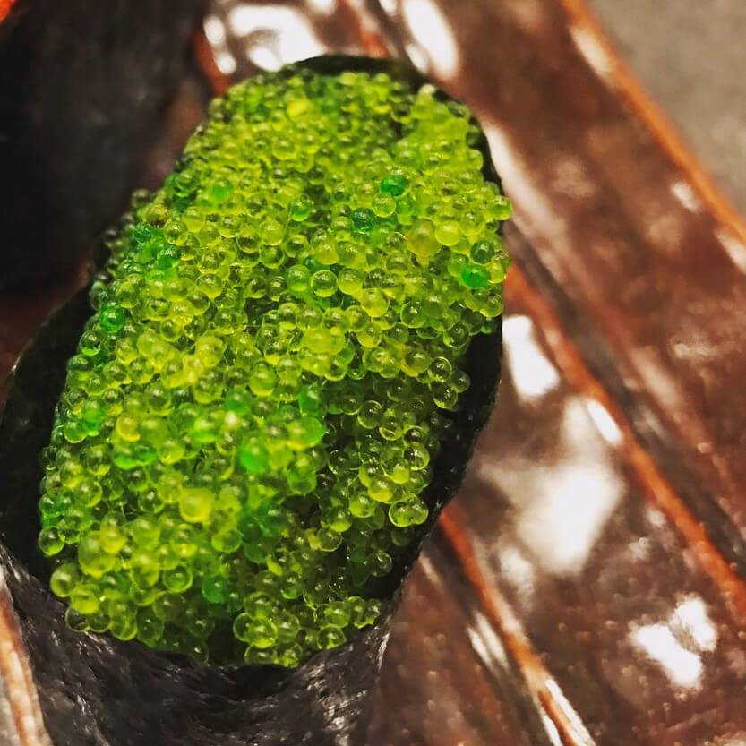 2f94bcabacd173de0ee3b13380308d74