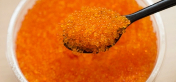 Screenshot 2024-12-12 143455