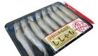Shisamo 1024 W