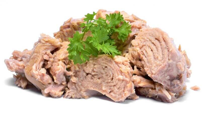 tuna-810x476