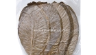 Hoba Leaf 1024