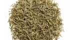 Rosemary