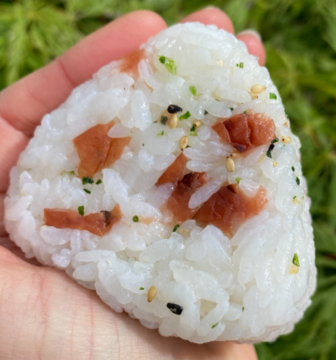 屏幕截图 2022-04-05 150022