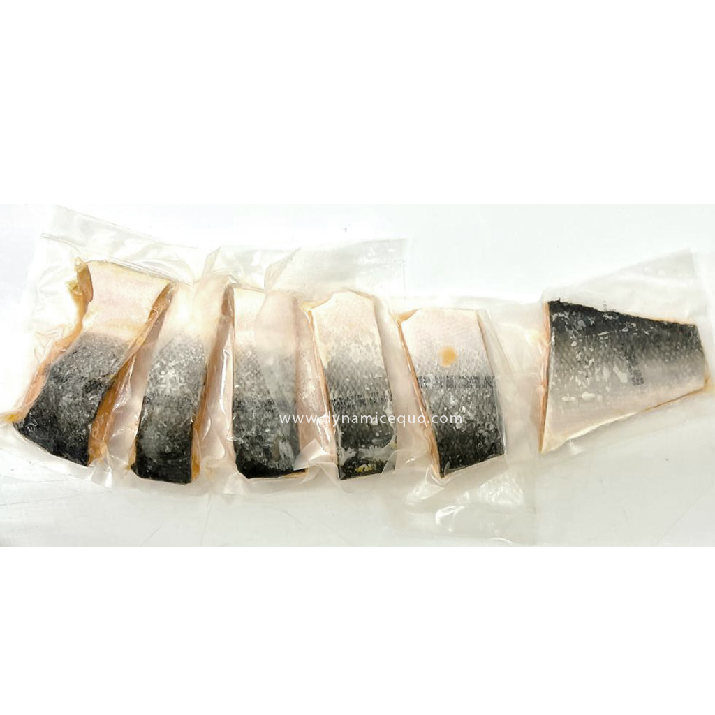 Salmon Portion Cut 4 1024px