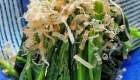 images (4)
